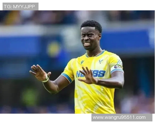 水晶宫计划一月出售格伊夏窗报价3500万不动摇 水晶宫计划一月出售格伊夏窗报价3500万不动摇