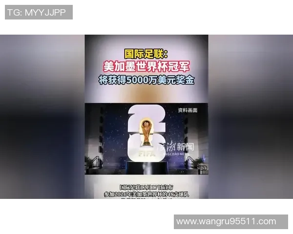 巴西2002世界杯冠军球员参与真人秀节目渴望赢得百万美元奖金